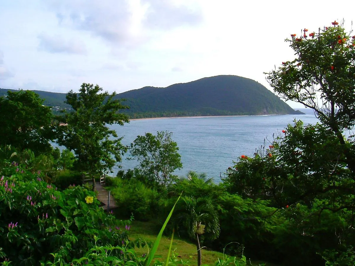 La Baie Du Bonheur Bed & Breakfast Deshaies 0*,